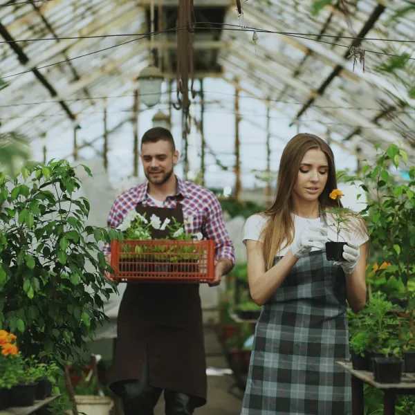 Two people carry plants in a greenhouse