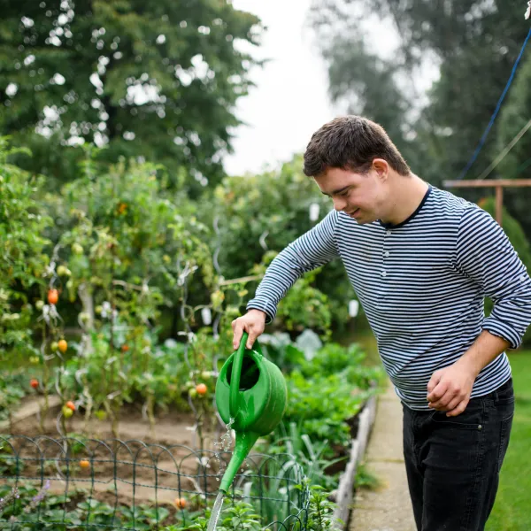 Side view of down syndrome adult man watering plants outdoors in vegetable garden, gardening concept
