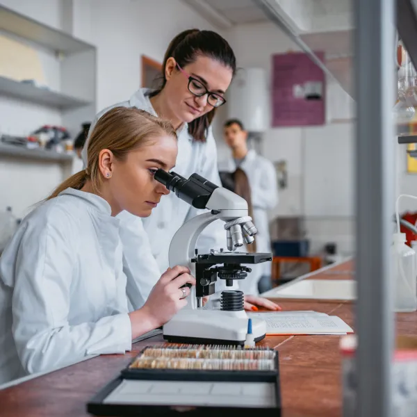 Two students using microscopes in laboratory